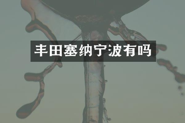 丰田塞纳宁波有吗