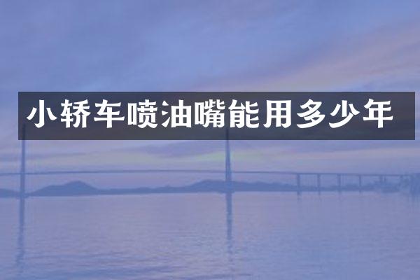 小轿车喷油嘴能用多少年