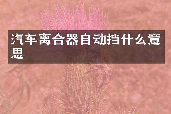 汽车离合器自动挡什么意思