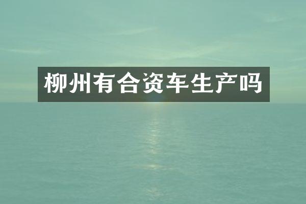 柳州有合资车生产吗