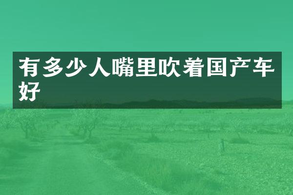 有多少人嘴里吹着国产车好