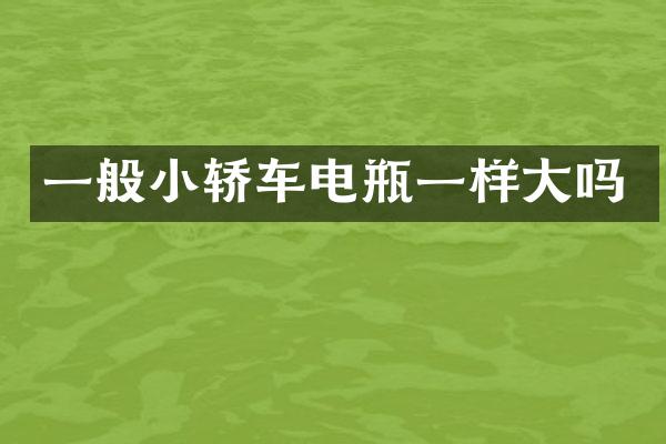 一般小轿车电瓶一样大吗