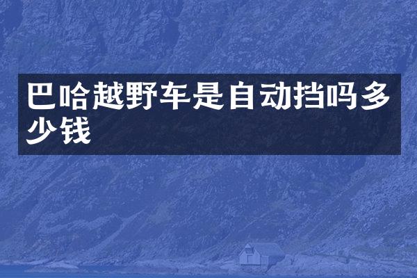 巴哈越野车是自动挡吗多少钱