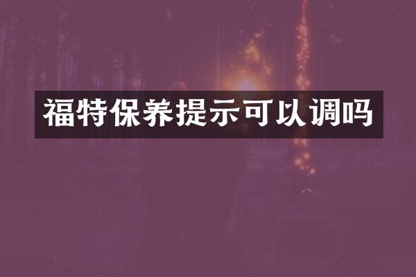 福特保养提示可以调吗