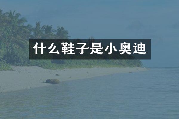 什么鞋子是小奥迪