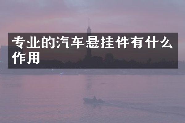 专业的汽车悬挂件有什么作用