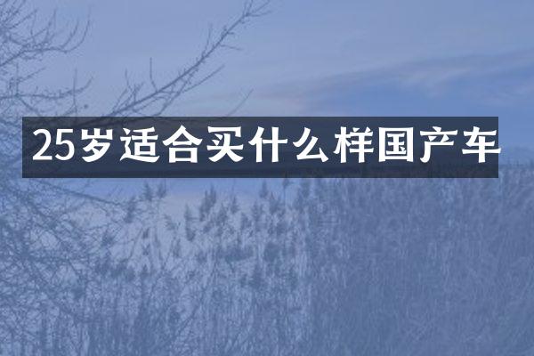 25岁适合样国产车