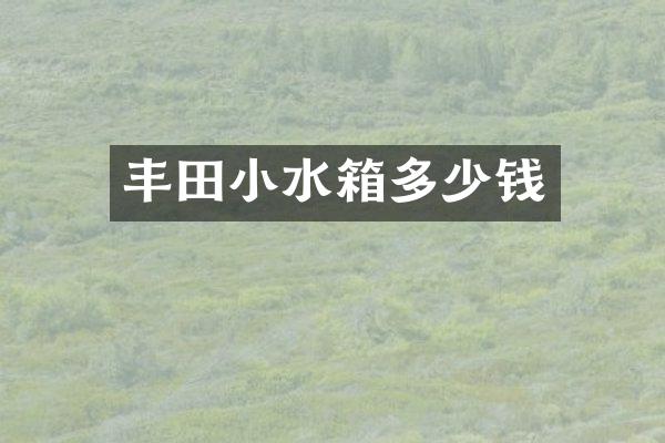 丰田小水箱多少钱
