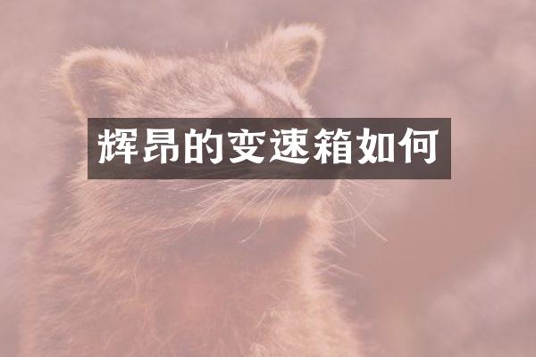 辉昂的变速箱如何