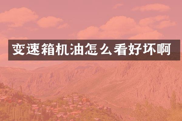 变速箱机油怎么看好坏啊