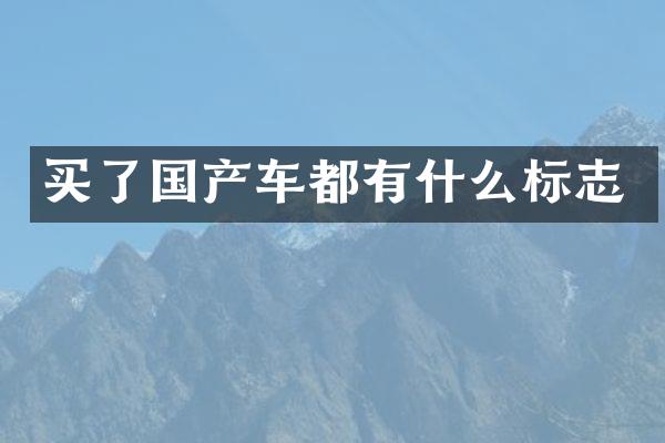 买了国产车都有什么标志