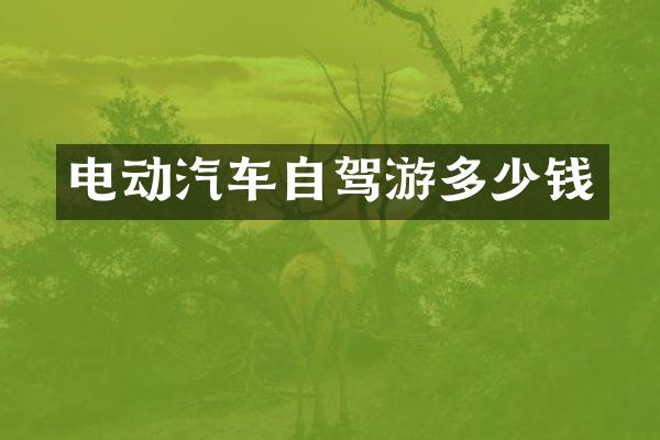 电动汽车自驾游多少钱