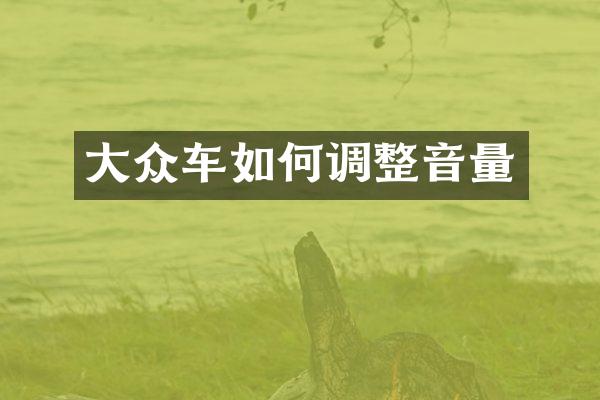 大众车如何调整音量