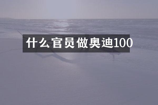 什么官员做奥迪100
