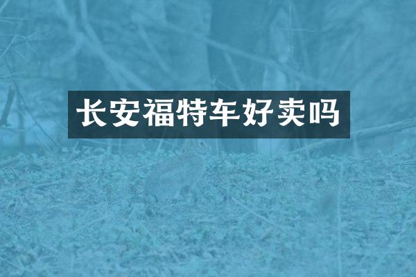长安福特车好卖吗