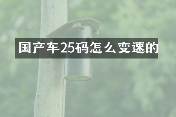 国产车25码怎么变速的