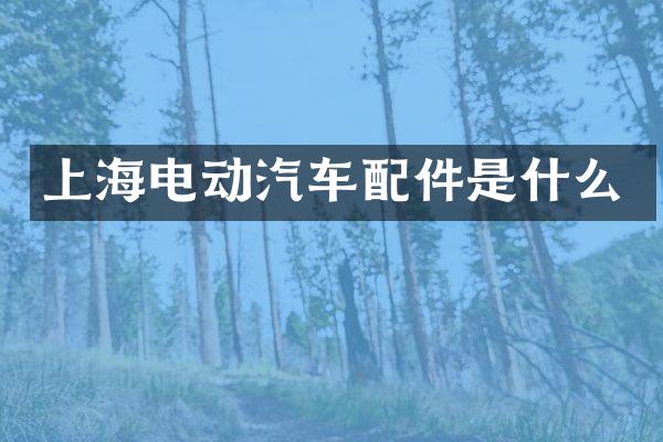 上海电动汽车配件是什么