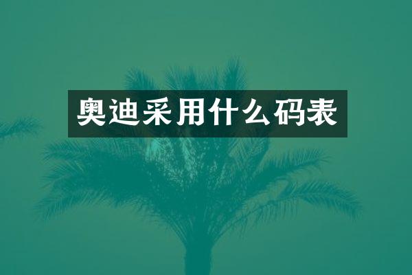 奥迪采用什么码表