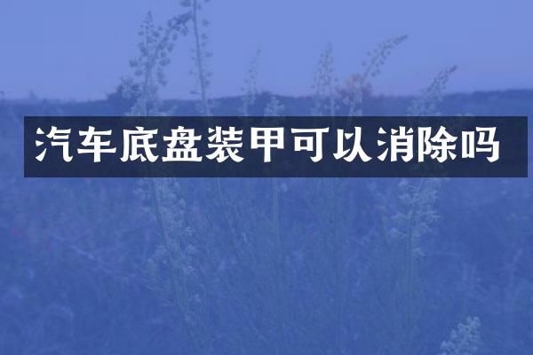 汽车底盘装甲可以消除吗