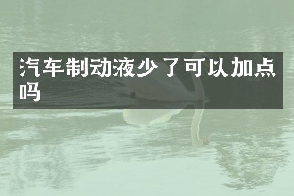 汽车制动液少了可以加点吗