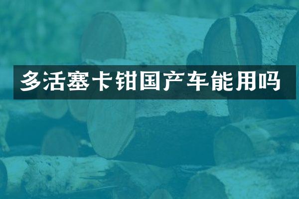 多活塞卡钳国产车能用吗