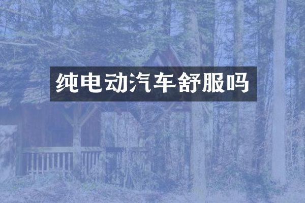 纯电动汽车舒服吗