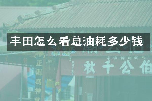 丰田怎么看总油耗多少钱