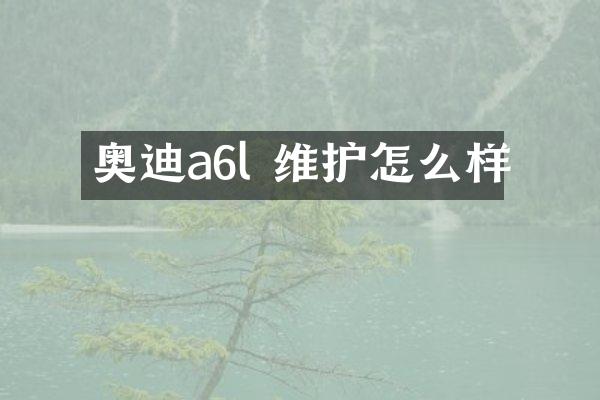 奥迪a6l 维护怎么样