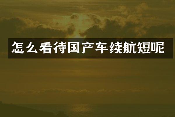 怎么看待国产车续航短呢