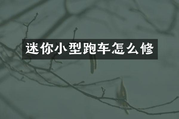 迷你小型跑车怎么修