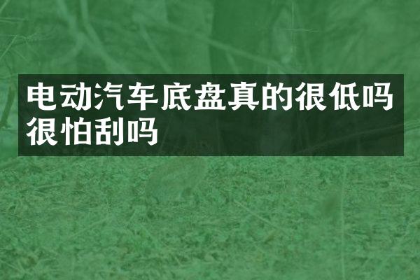 电动汽车底盘真的很低吗很怕刮吗