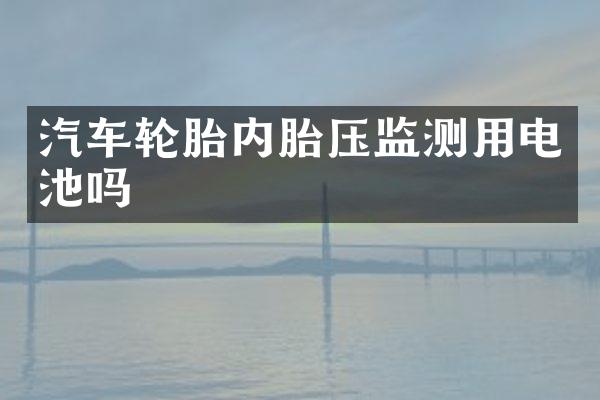 汽车轮胎内胎压监测用电池吗