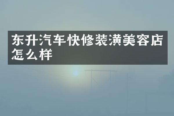 东升汽车快修装潢美容店怎么样
