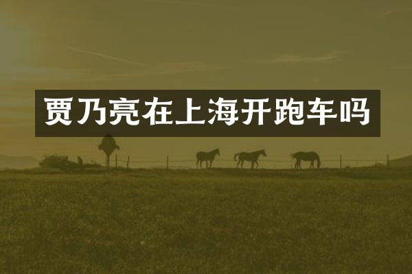 贾乃亮在上海开跑车吗