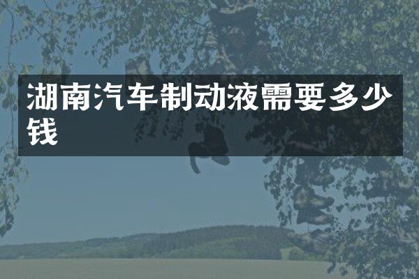 湖南汽车制动液需要多少钱