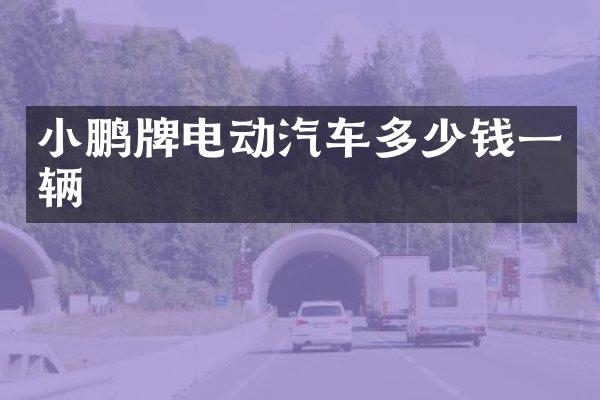 小鹏牌电动汽车多少钱一辆