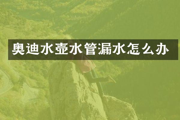 奥迪水壶水管漏水怎么办