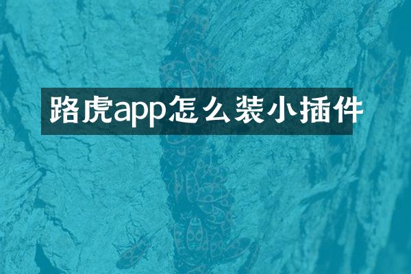 路虎app怎么装小插件