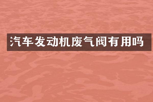 汽车发动机废气阀有用吗