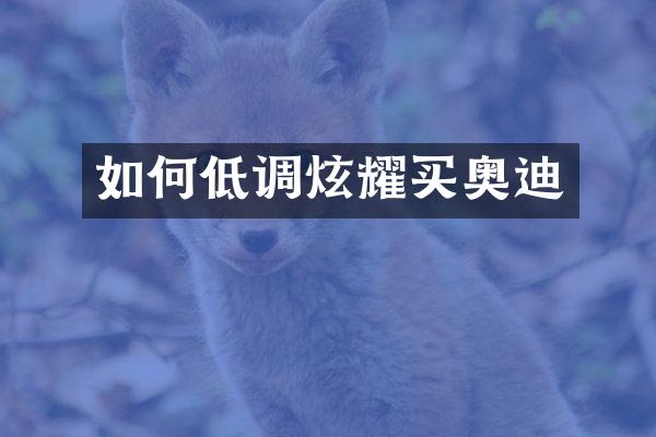 如何低调炫耀买奥迪