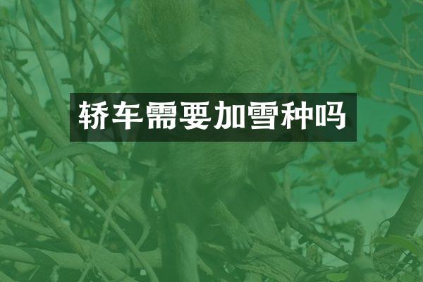 轿车需要加雪种吗
