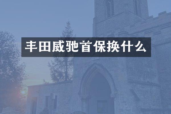 丰田威驰首保换什么