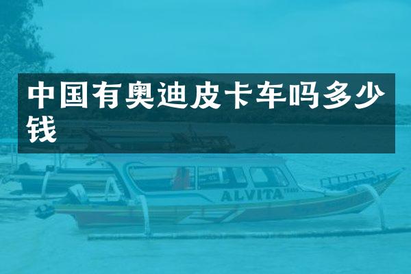 中国有奥迪皮卡车吗多少钱