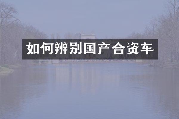 如何辨别国产合资车