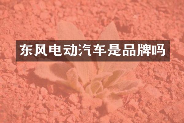 东风电动汽车是品牌吗