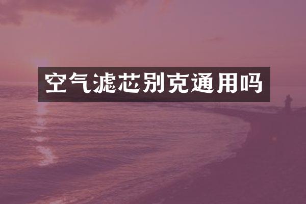 空气滤芯别克通用吗