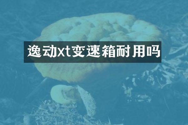逸动xt变速箱耐用吗