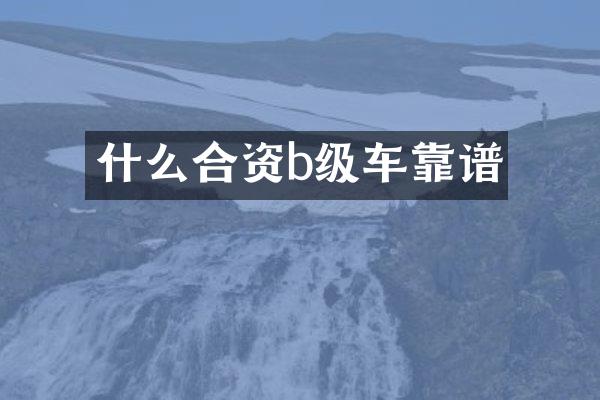 什么合资b级车靠谱