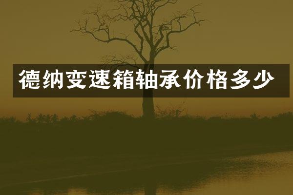 德纳变速箱轴承价格多少