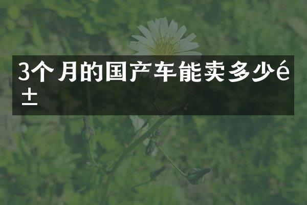 3个月的国产车能卖多少钱